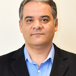 رضا افقی