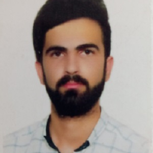 موسی کریمی