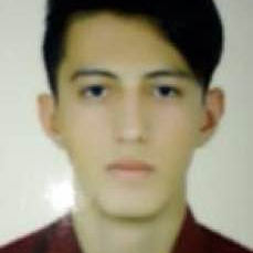 عرفان حاج محمدی